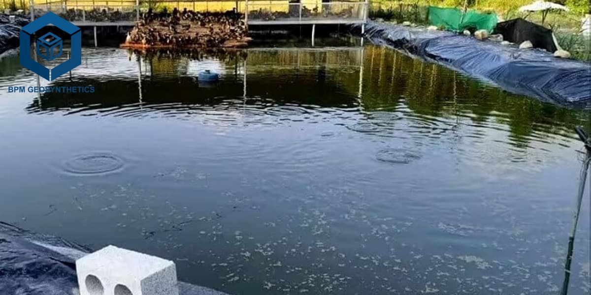 High Density Polyethylene Sheet for Waterproofing and Construction Applications