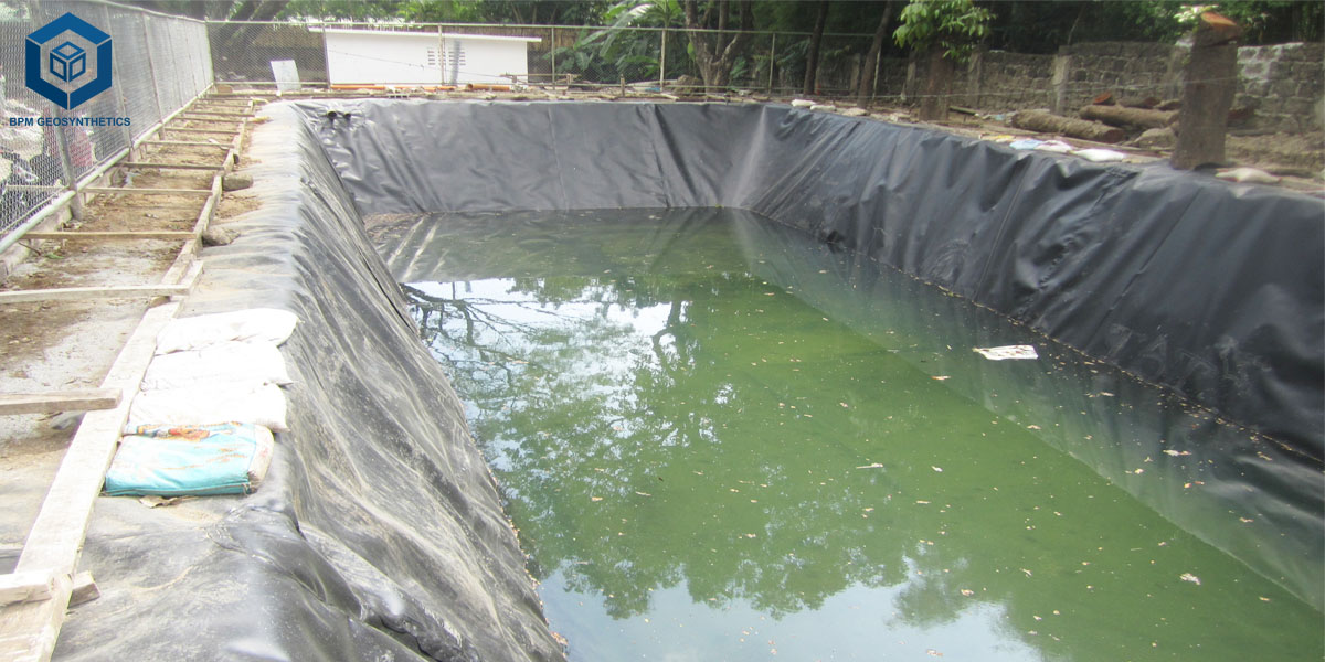 Koi Fish Pond Liner for Backyard Ponds