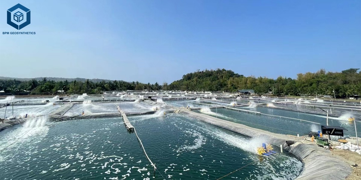 แผ่น HDPE สำหรับบ่อเลี้ยงปลา แผ่น HDPE สำหรับบ่อเลี้ยงปลา