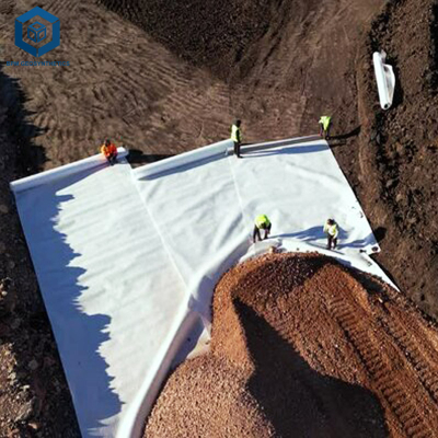 Geotextile Membrane for Driveways