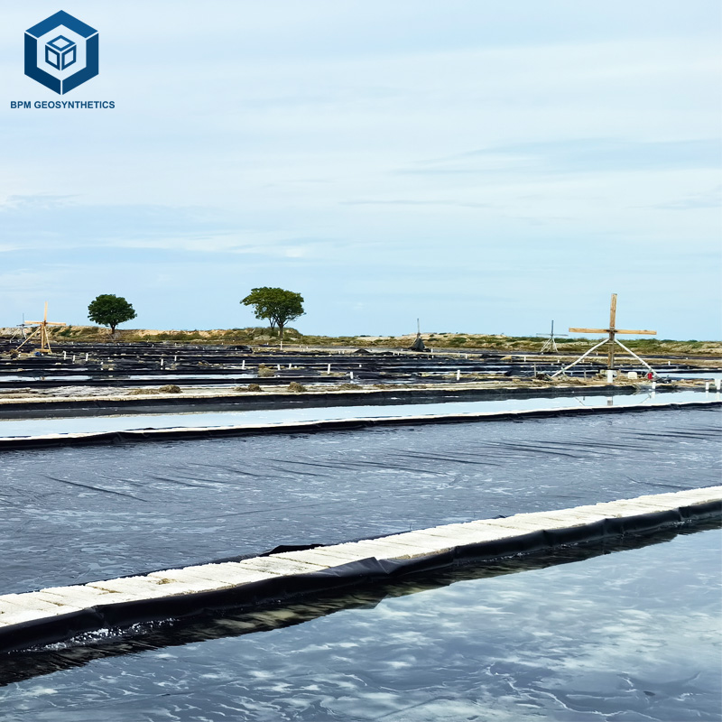 Rivestimento per laghetto in PVC da 40 mil