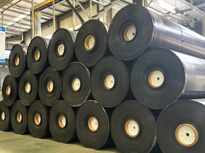 Guide sur les géomembranes pour la résolution des problèmes de fissuration en climat froid