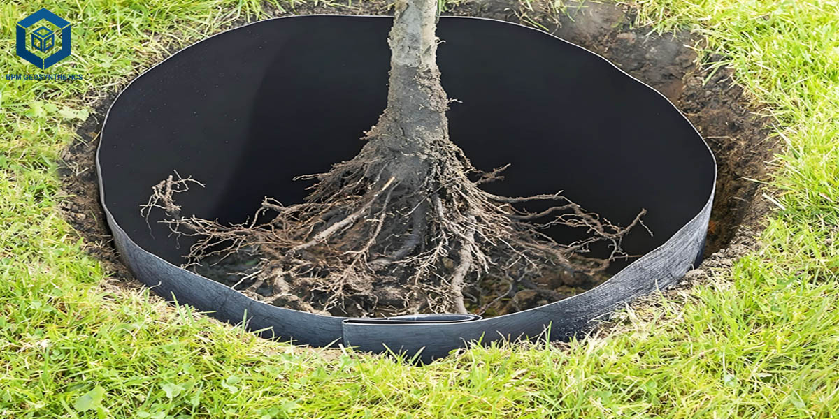 Màng chắn rễ cây cho cảnh quan Màng chắn rễ cây cho cảnh quan