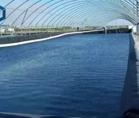 Revestimento de Lagoa em LDPE da BPM Geosynthetics para Aplicações de Armazenamento de Água de Grande Porte