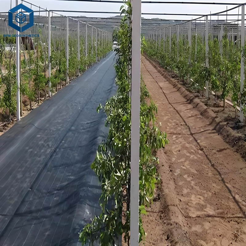 PET Woven Geotextile for Civil Engineering