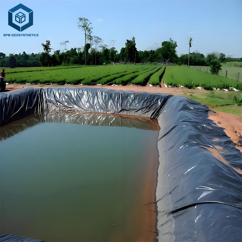 Dichtungsbahn HDPE 1mm