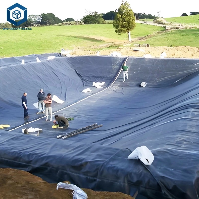 BPM HDPE Geomembrane Sheets for Oil, Gas