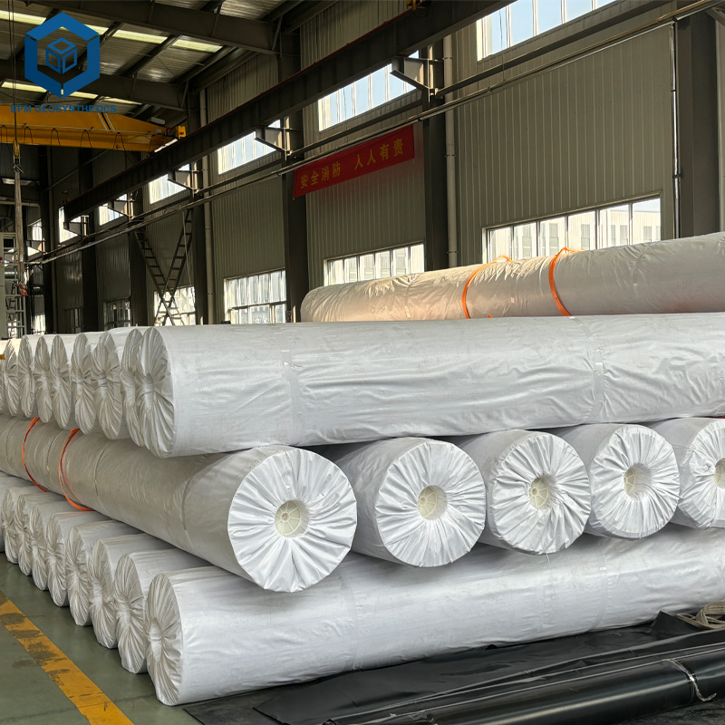 HDPE-Dammauskleidung