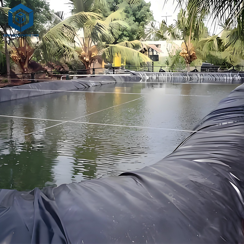 フィッシュポンドライナー