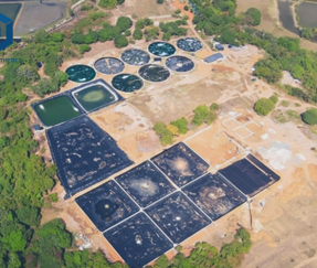 BPM Geosynthetics HDPE Pond Liner Sheet for Aquaculture