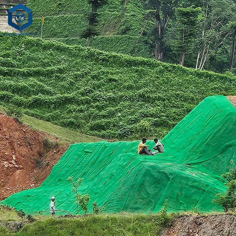Géomat PEHD pour le renforcement des routes