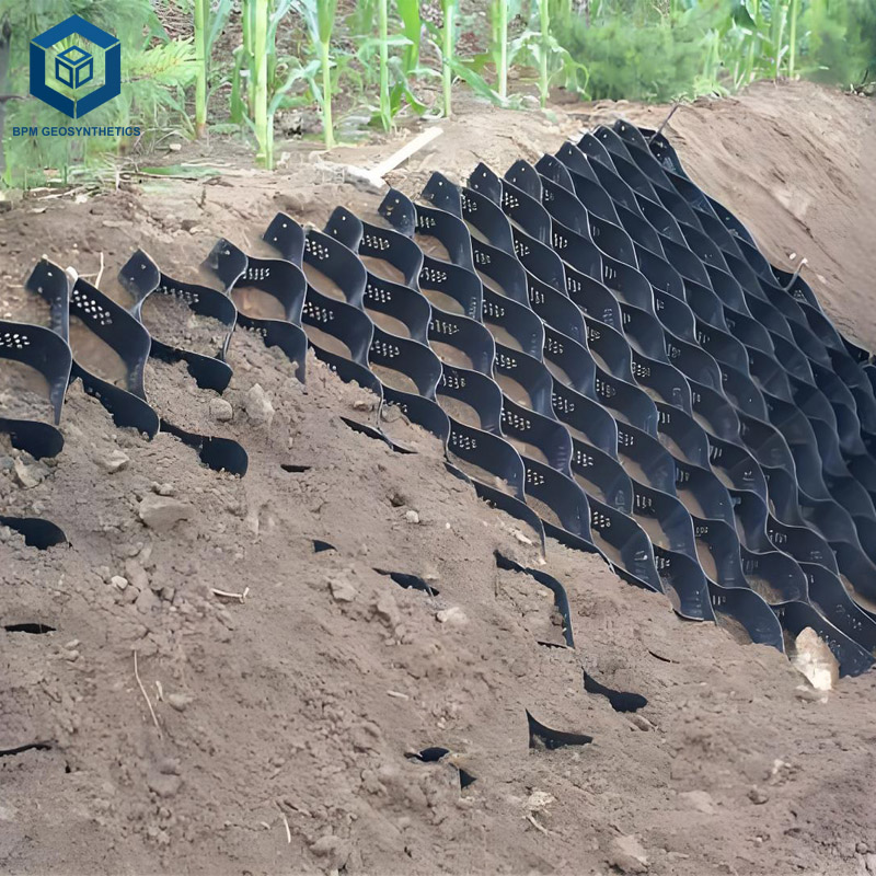 진입로용 지오셀 지면 격자