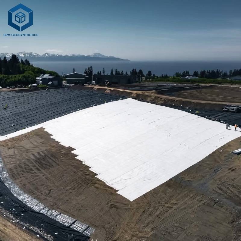 Tessuto geotessile sotto ghiaia per il controllo dell'erosione
