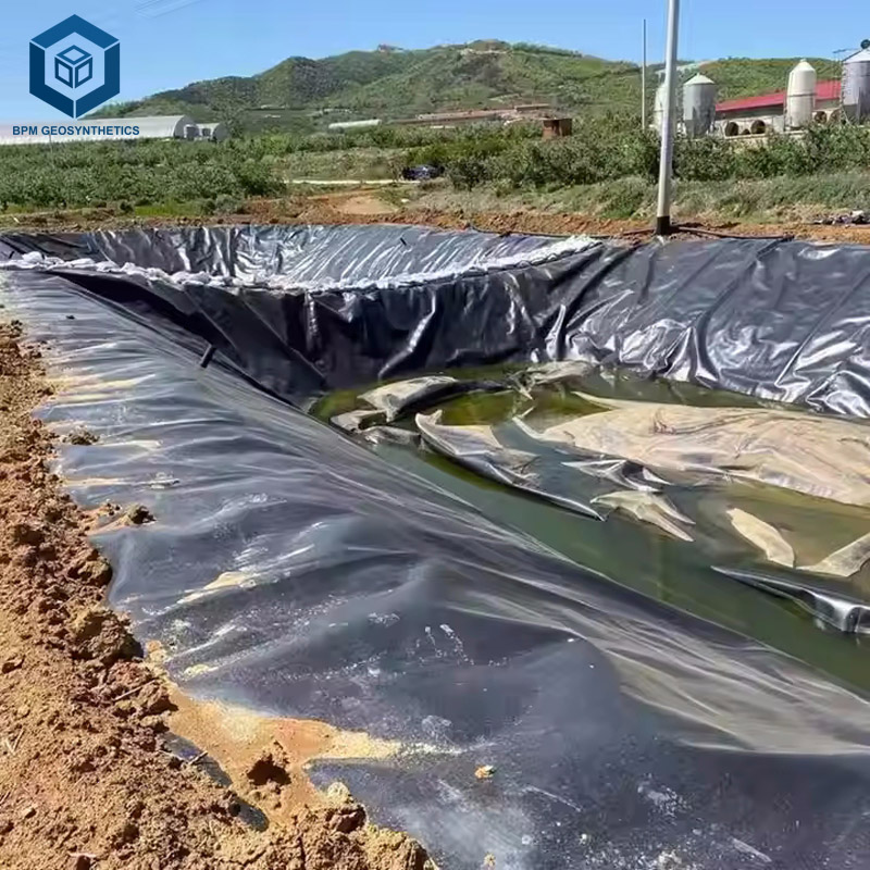 HDPE Geomembrane Sheet Price