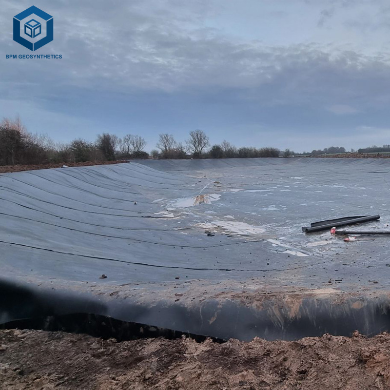 Prezzo del Rivestimento per Laghetti da 500 Micron per Progetti di Contenimento dell'Acqua