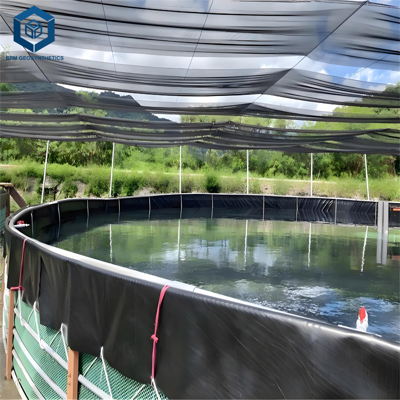 フィッシュポンドライナー