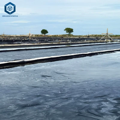 Application of BPM Geomembranes in Salt Industry