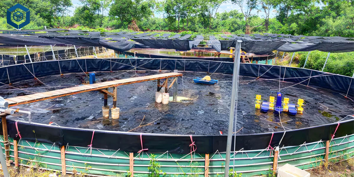 Рыбы для прудовых прудов с аквакультурой Рыбы для прудовых прудов с аквакультурой