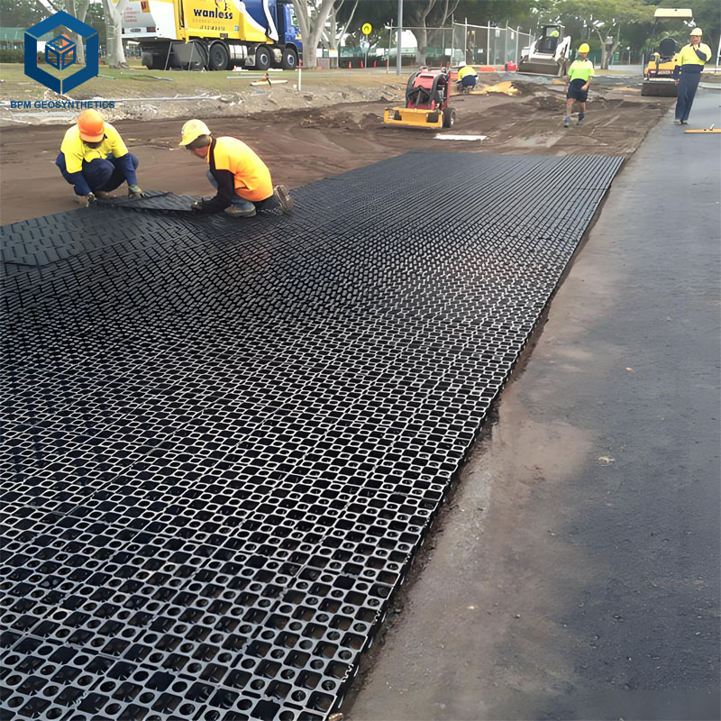 เซลล์ระบายน้ำสำหรับพืช