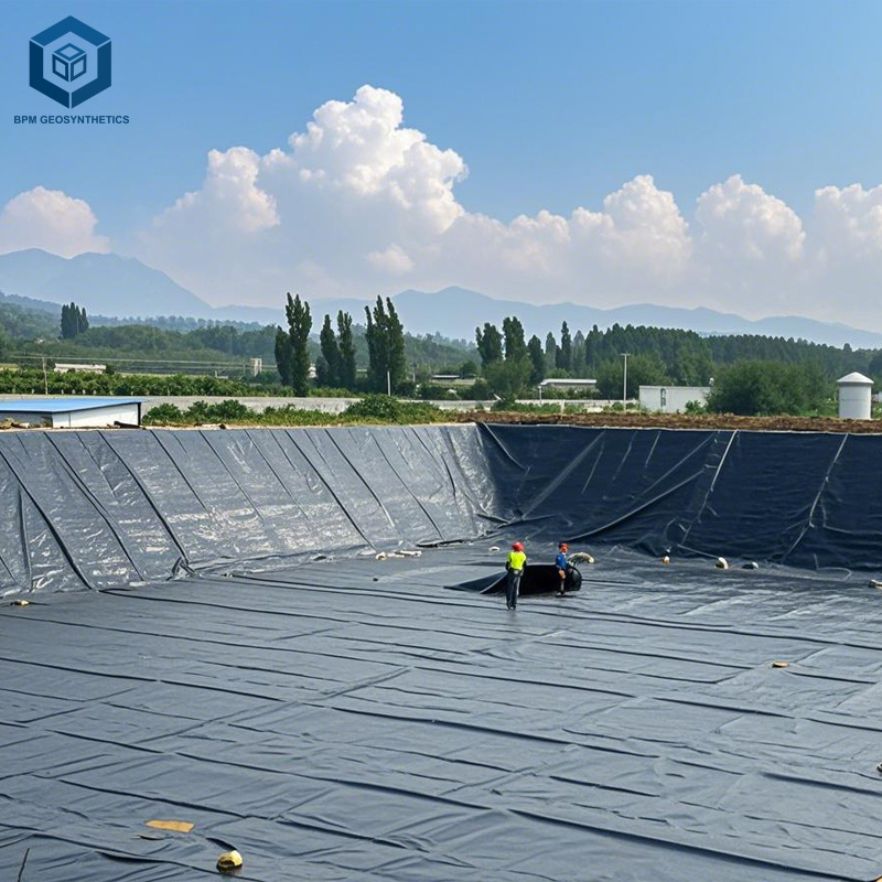 HDPE Geo Membrane