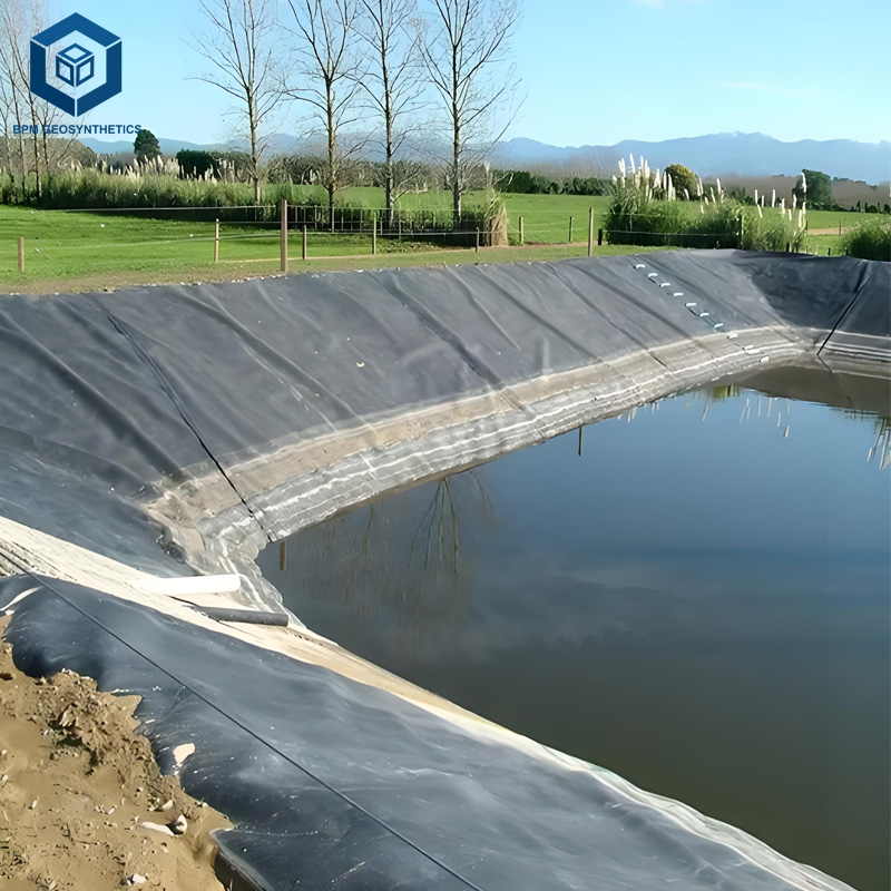 Géomembrane en PEHD pour la pisciculture