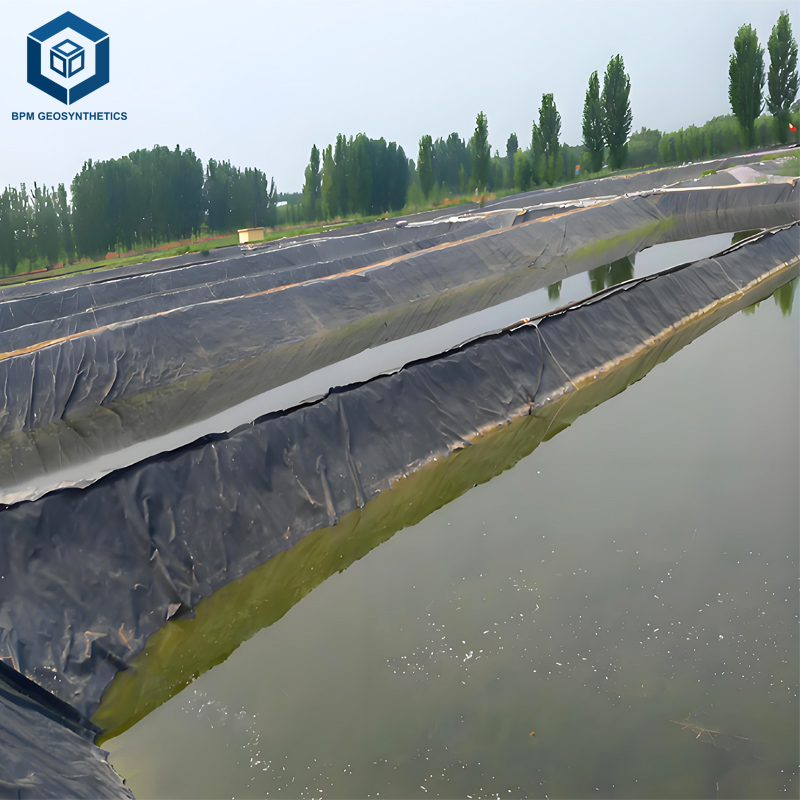 フィッシュポンドライナー