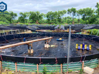 Ferme piscicole BPM Pond Liner