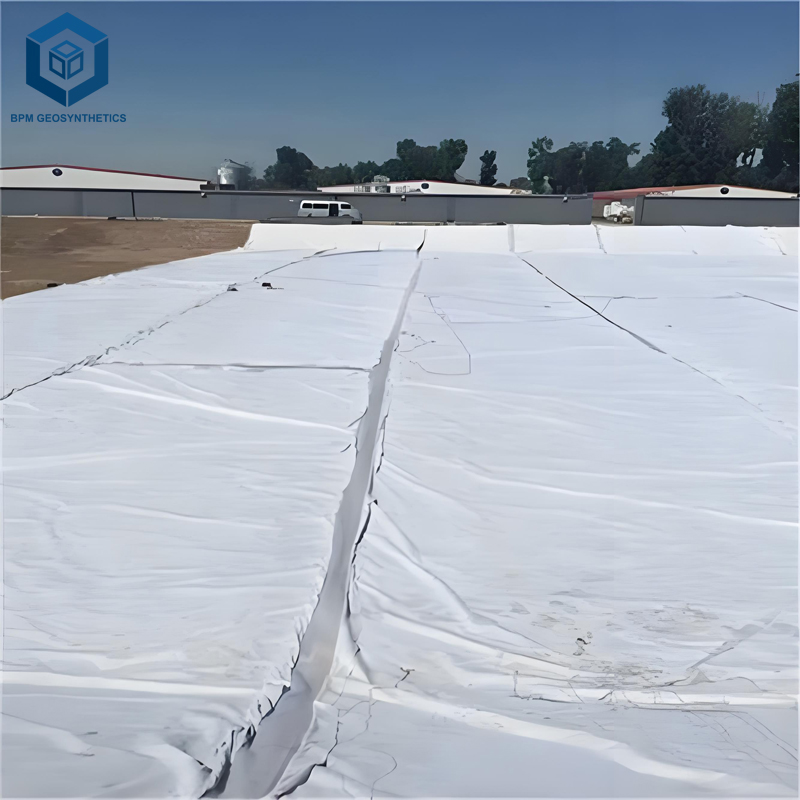 복합 지오멤브레인 라이너