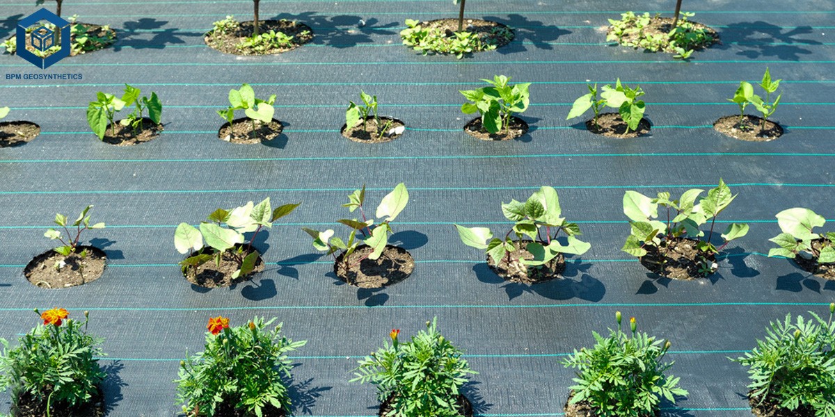 PP Geotextile PP Geotextile