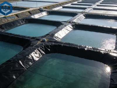 أفضل غشاء أرضي لمنصة ترشيح الذهب في تعدين الذهب