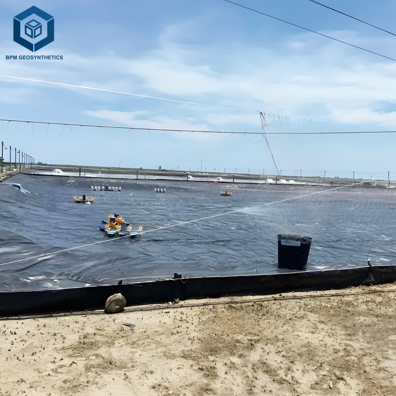 30 Mil PVC Geomembran für Aquakulturteich Abdichtung