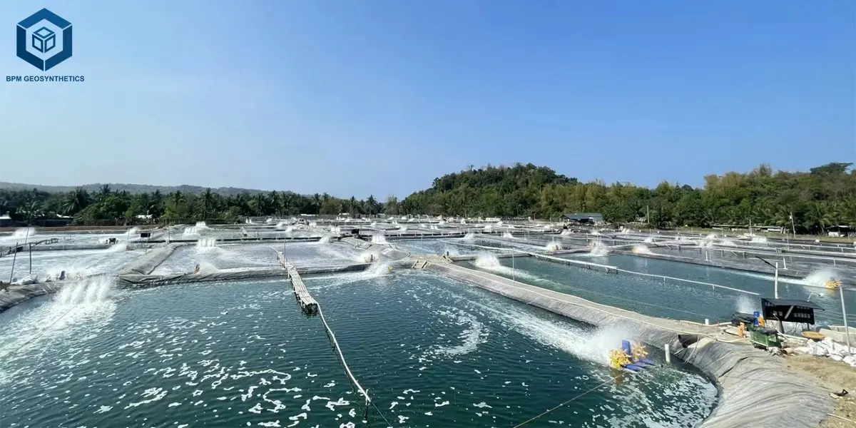 Çiftlik Göleti için HDPE Levha Çiftlik Göleti için HDPE Levha